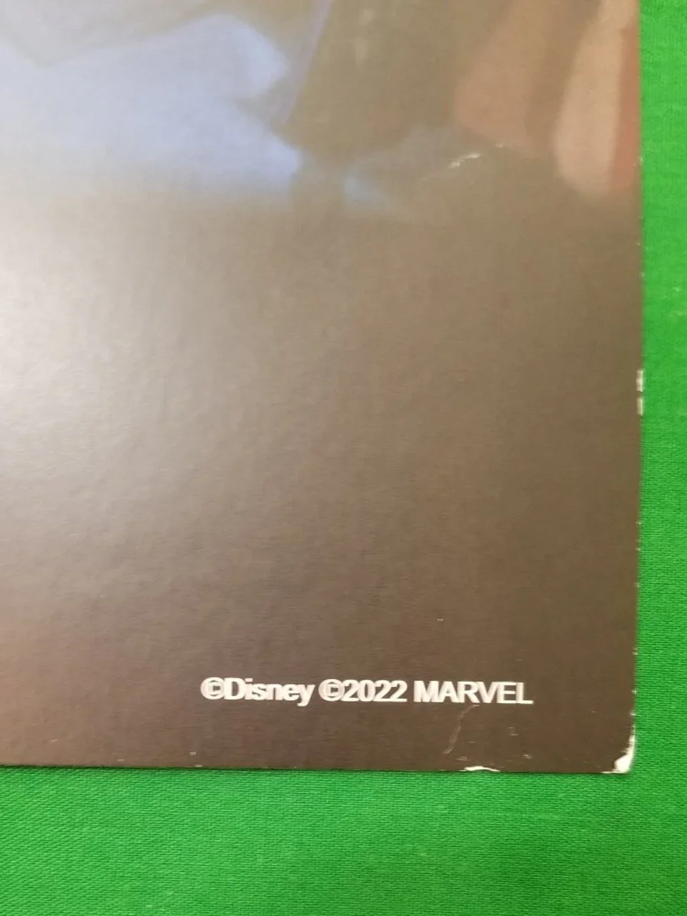 D23 Expo 2022 Exclusive Poster DCA Coming To Avengers Campus 13”x19”